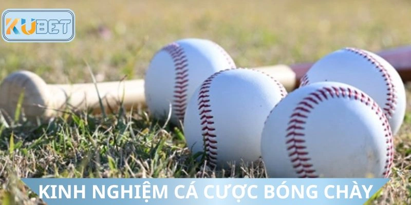 Kinh nghiệm chinh phục hình thức dự đoán bóng chày