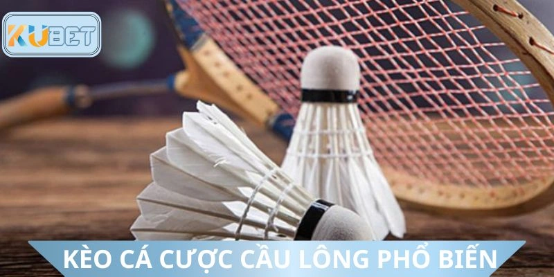 Các hình thức dự đoán cầu lông phổ biến