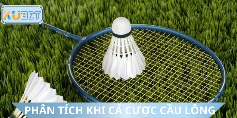 Yếu tố cần phân tích khi dự đoán cầu lông