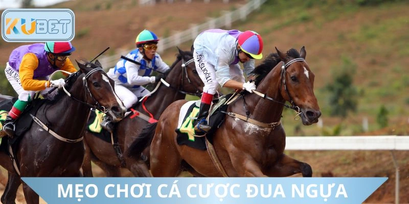 Kinh nghiệm chinh phục cá cược đua ngựa