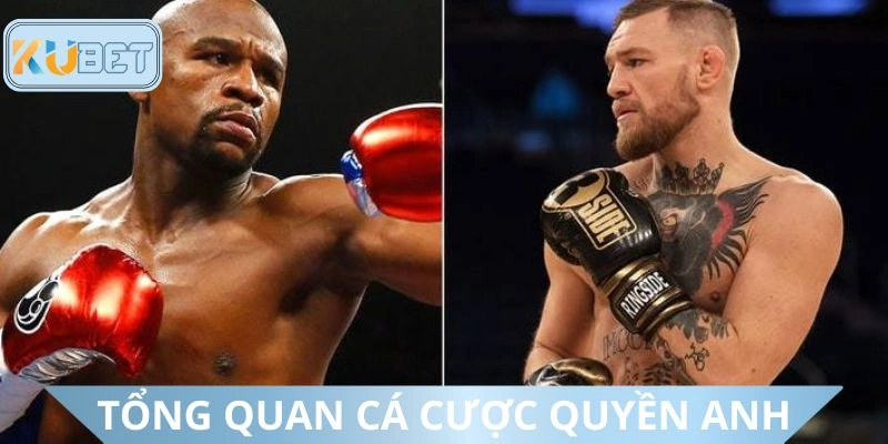 Khái quát về dự đoán môn quyền anh