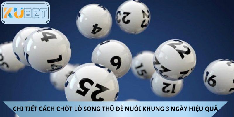 Chi tiết cách chốt lô song thủ để nuôi khung 3 ngày hiệu quả