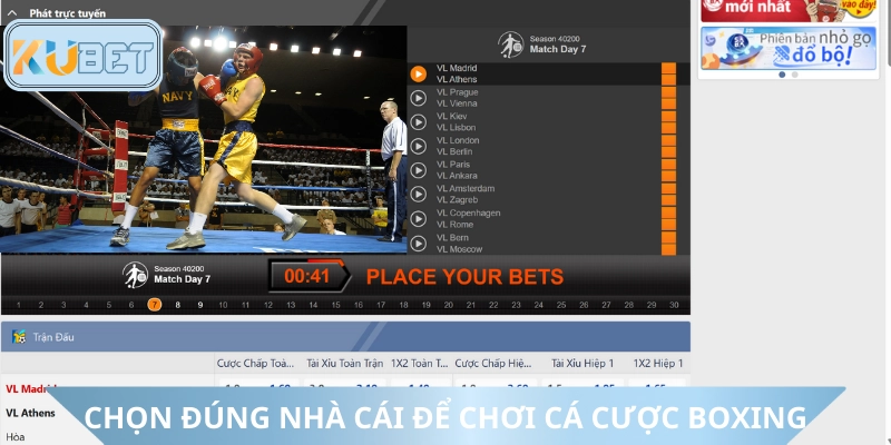 Chọn nhà cái uy tín để cá cược boxing