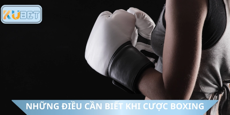 Quy định đặc biệt khi đặt cược boxing