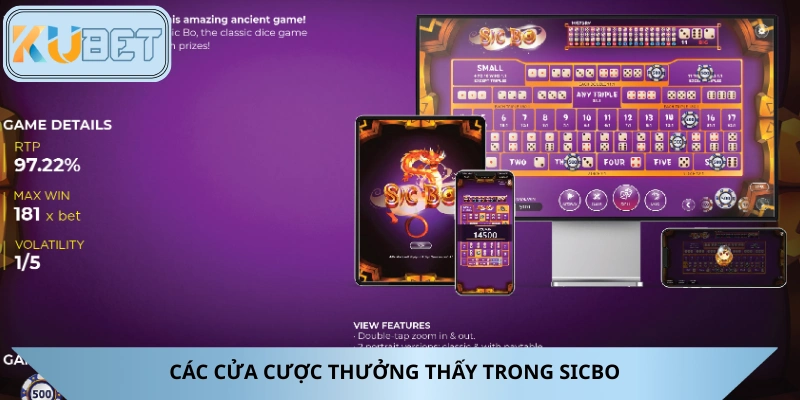 Điểm danh những cửa cược trong tựa game sicbo