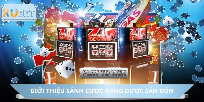 Giới thiệu sảnh cược đang được săn đón hiện nay