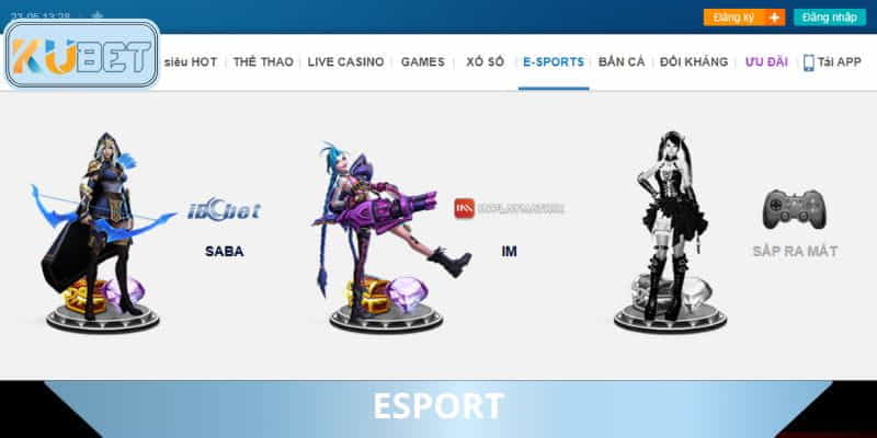 Esport - Sảnh thuộc về fan của thể thao điện tử