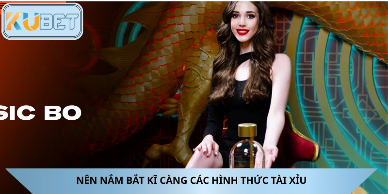 Khi tìm hiểu luật chơi tài xỉu online cần phải biết rõ các hình thức